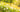 Hay Fever Treatment Liverpool: Best Antihistamines and Expert Advice from Anfield Pharmacy