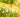 Hay Fever Treatment Liverpool: Best Antihistamines and Expert Advice from Anfield Pharmacy
