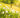 Hay Fever Treatment Liverpool: Best Antihistamines and Expert Advice from Anfield Pharmacy